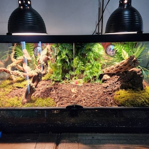 Amber added a photo of their purchase