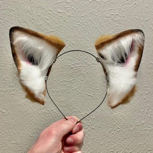 Moss heeft een foto van zijn/haar aankoop toegevoegd