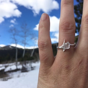 Marleigh added a photo of their purchase