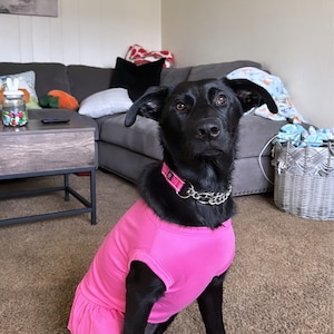 Iveth added a photo of their purchase