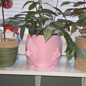 Josephine added a photo of their purchase
