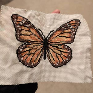 Emily added a photo of their purchase