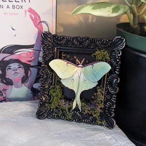 Andy added a photo of their purchase