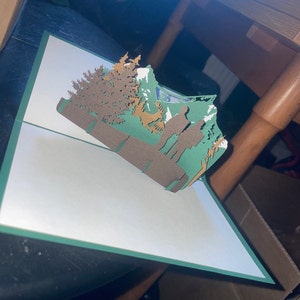 fiona a ajouté une photo de son achat
