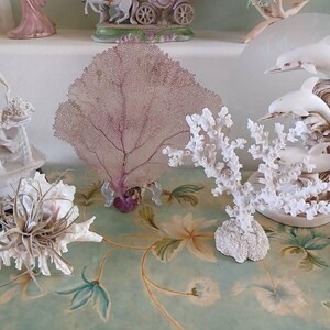 Diane ha aggiunto una foto del proprio acquisto