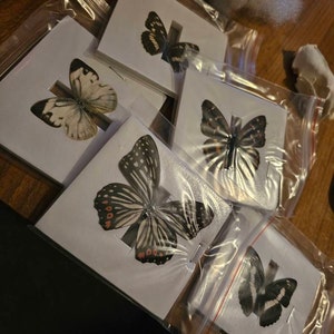 Sara added a photo of their purchase