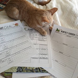 Lisa added a photo of their purchase