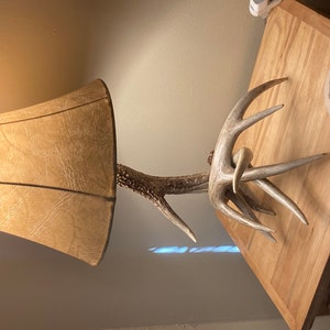 Jacob ha añadido una foto de su compra