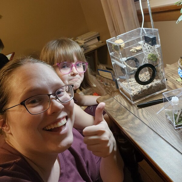 3D Universal Treehouse Insert for Jumping Spiders and Invertebrate ...