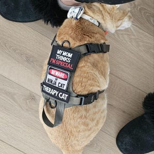 K9R - M1 Lightspeed Harness for Cats - Etsy