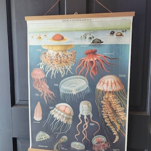 Jenny added a photo of their purchase