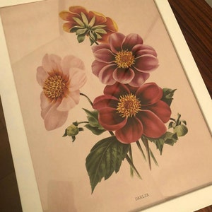 lana added a photo of their purchase