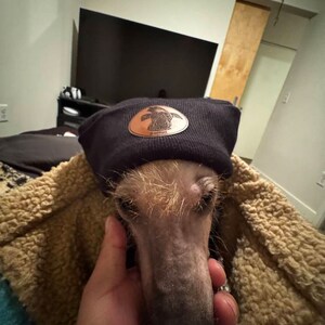 brianna added a photo of their purchase
