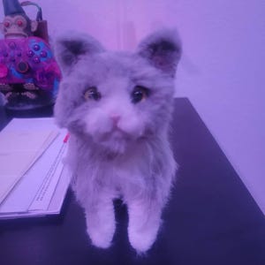 Sally さんが購入した商品の写真を追加しました