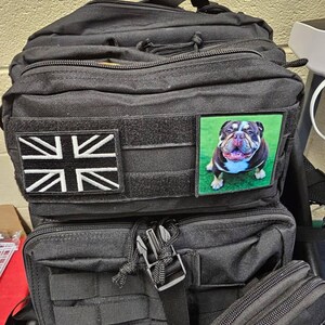 Molly added a photo of their purchase