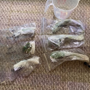 brooklyn added a photo of their purchase