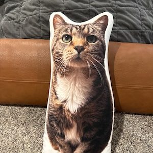 Amy added a photo of their purchase