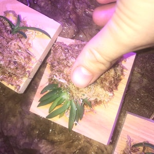 Tanner added a photo of their purchase