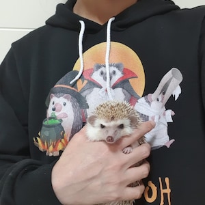 Adam added a photo of their purchase