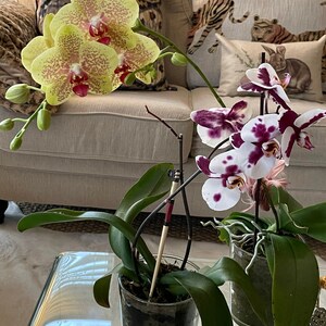 Tracy added a photo of their purchase