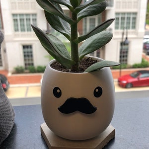 Emily added a photo of their purchase