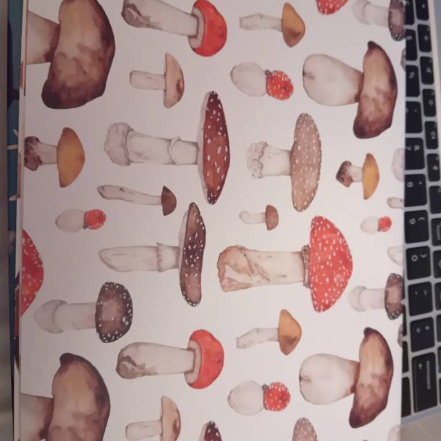  Bolsome 12 Sheets 28 * 20 Inches Mushroom Wrapping Paper Black  White Red Mushroom Insect Plants Pattern Gift Wrap Paper for Birthday  Christmas Autumn Holidays DIY Craft : Health & Household