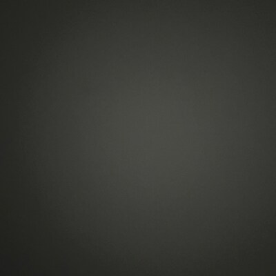 Paper Designs Rice Paper Turtles Rice Paper A4 Rice Paper Natural Paper ...