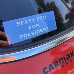 Does This Truck Make My Neck Look Red Bumper Sticker - 3x9 Inch Southern Redneck Decal