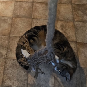 Elodie added a photo of their purchase