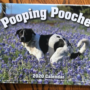 2022 Pooping Pooches Dog Calendar White Elephant Gag Gift | Etsy