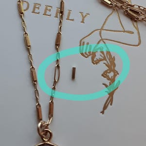 Rachel added a photo of their purchase