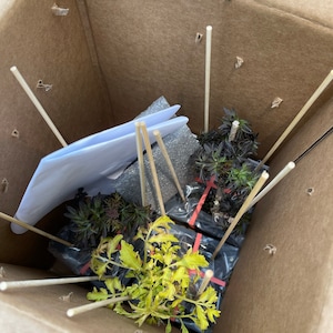 Mike ha añadido una foto de su compra