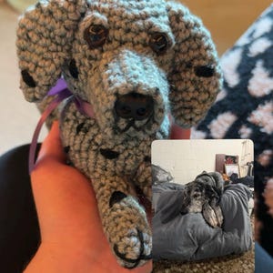 Maddy ha añadido una foto de su compra