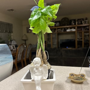 Natalie added a photo of their purchase