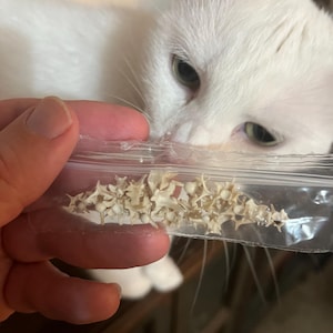 David added a photo of their purchase