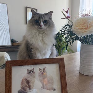 Erica hat ein Foto des gekauften Artikels hinzugefügt