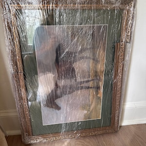 Shelly added a photo of their purchase