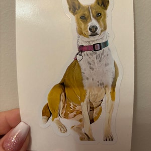 Caitlin added a photo of their purchase