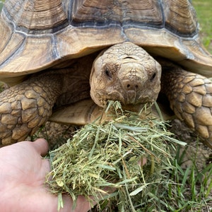 Heather added a photo of their purchase