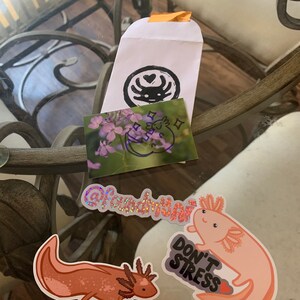 Stephanie added a photo of their purchase