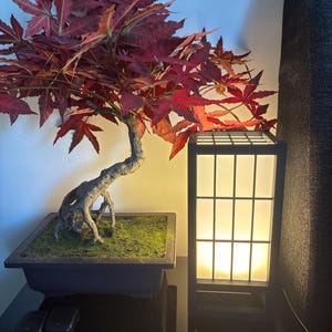 Méline added a photo of their purchase