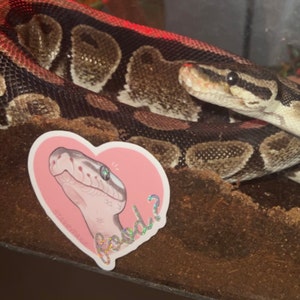 Karina added a photo of their purchase