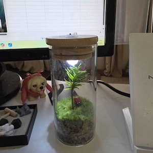 Dawn added a photo of their purchase