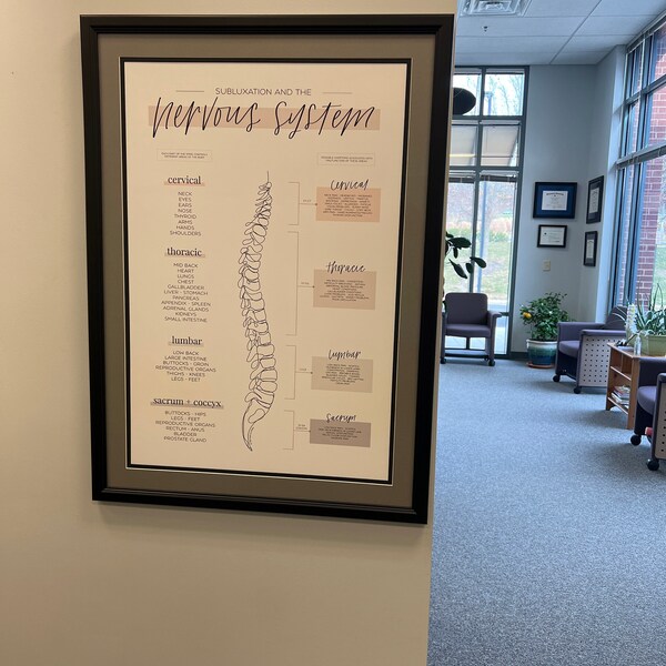 Chiropractic Subluxation and the Nervous System Poster - Etsy