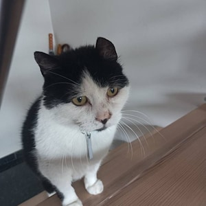 Lozzie heeft een foto van de aankoop toegevoegd