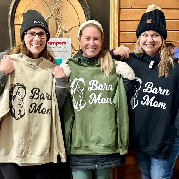 Christmas horse shirt