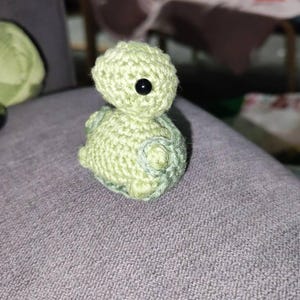 Lucy added a photo of their purchase