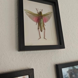 Kirsten added a photo of their purchase