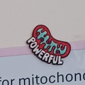 Helen added a photo of their purchase