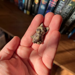 Author added a photo of their purchase